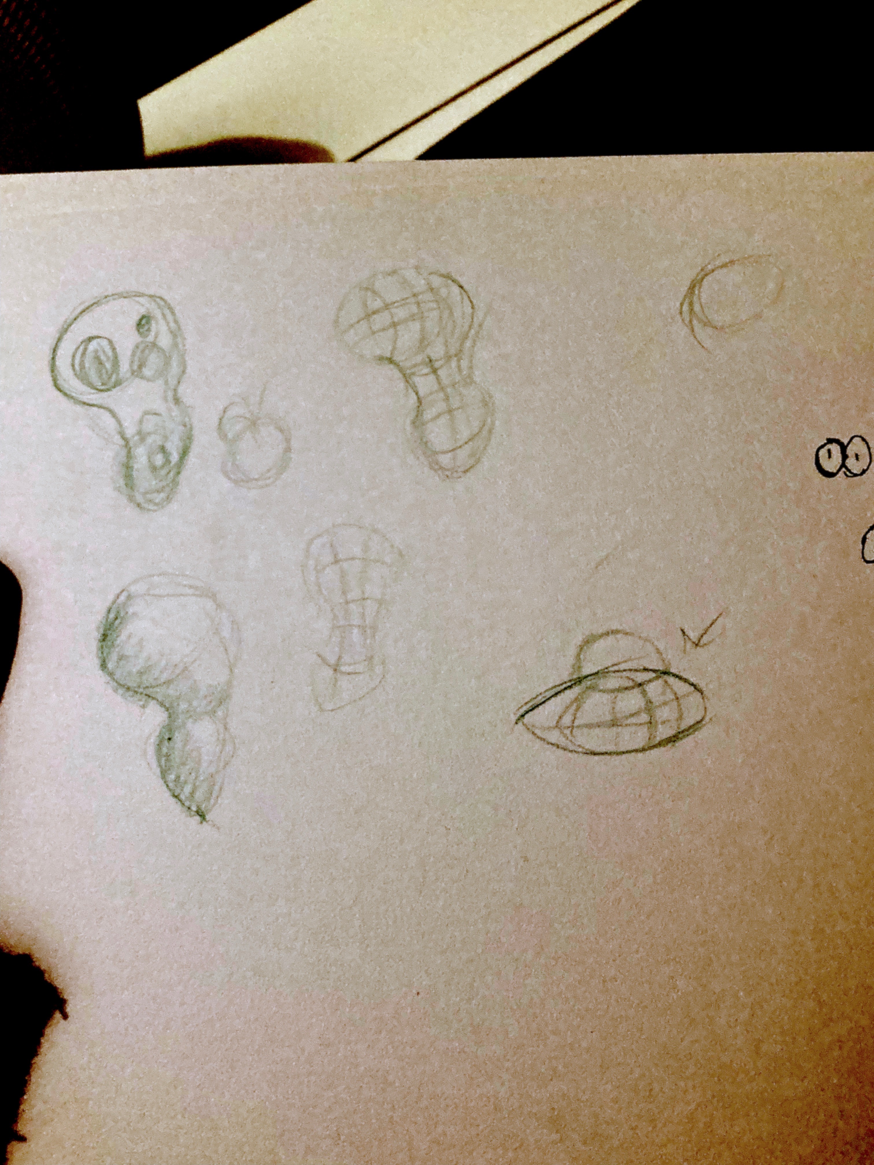 intital sketches